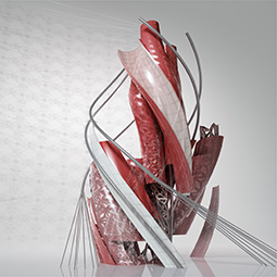 AutoCAD 3D-проектирование